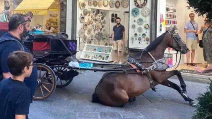 cavallo a terra firenze