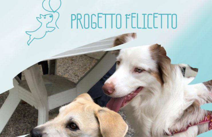 progetto felicetto cani disabilità 