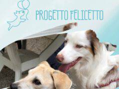 progetto felicetto cani disabilità