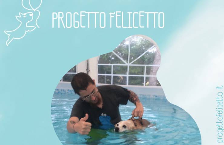 progetto felicetto cani disabilità 