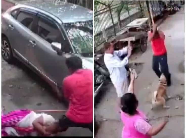Prende una spranga di ferro e picchia violentemente un cane una donna e altri parenti (Video)