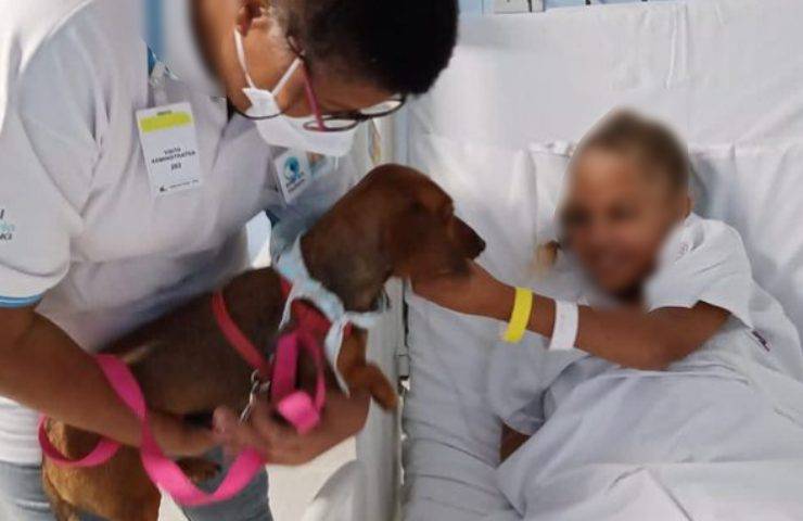 cuccioli cane visita ospedale