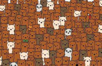 Riesci a trovare gli intrusi nascosti nel test visivo degli orsetti? (screen Instagram)