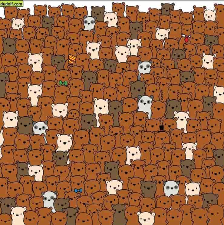 ¿Puedes encontrar a los intrusos ocultos en la prueba visual del oso?  (Pantalla de Instagram)