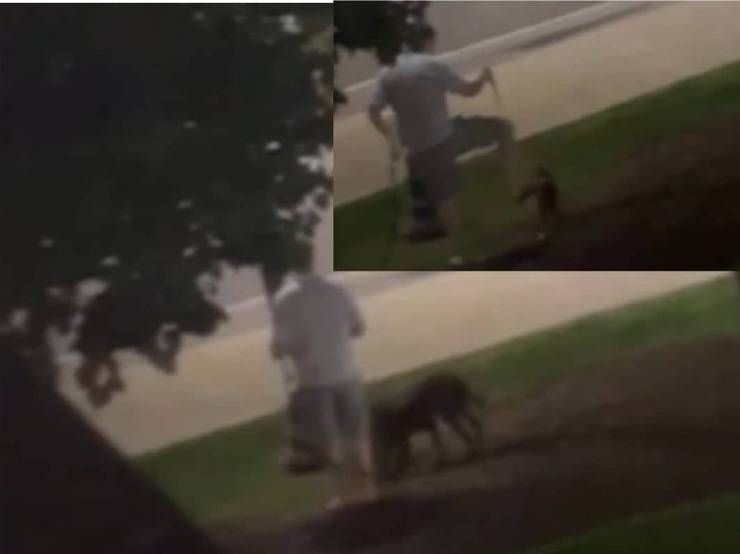 Un testimone riprende il politico picchiare brutalmente il suo cane (Video)
