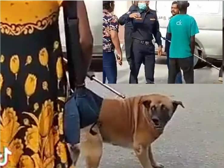 Accalappiacani nella bufera : feriscono un cane al muso, animalisti in rivolta (Screen Video)