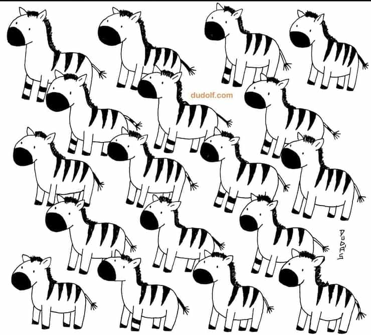 Il nuovo test visivo della zebra diversa solo i più audaci riusciranno a vederla