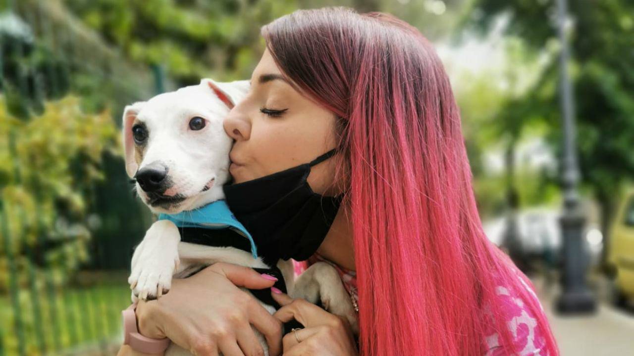 Macchia cane all'improvviso, l'appello di Alessia