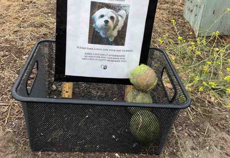 ragazza ricorda il suo cane