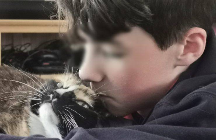 Chicken gatto premio autistico 