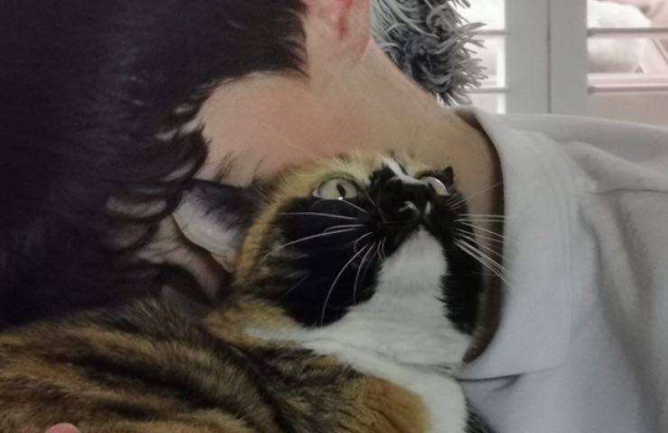 Chicken gatto premio autistico