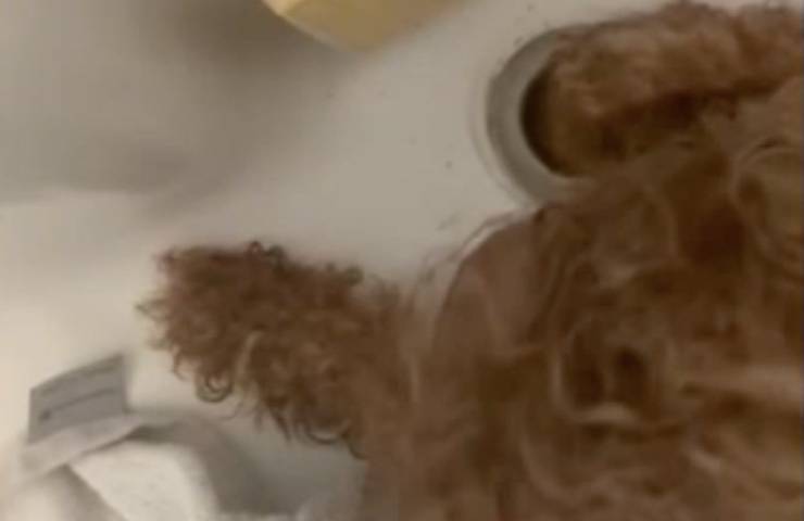 rocco cagnolino incastrato scarico 