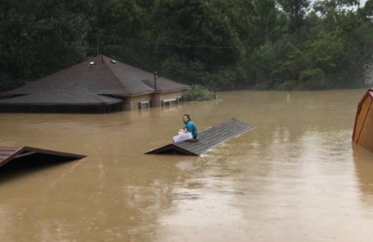 cane salvare giovane alluvione 