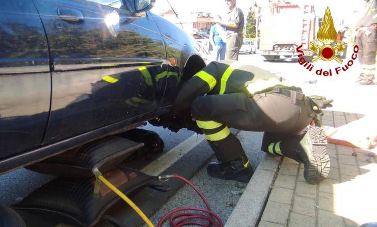 pompieri salvano cane sotto auto