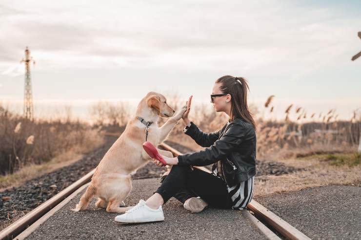 Il cane e il suo gesto