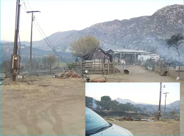 Rinchiusi in gabbia durante l'incendio erano più di 50 cani dal destino segnato (Video)