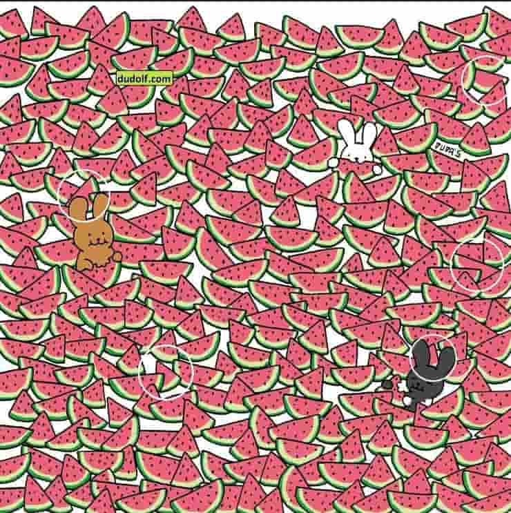 Riuscirete a scovare quella diversa? Il test visivo dei coniglietti tra le angurie