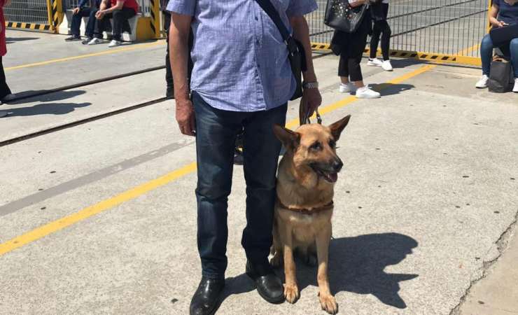 cane guida reggio calabria