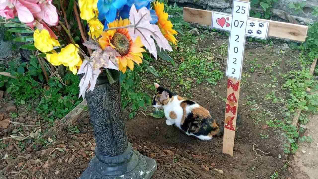 Lapide Commemorativa Per Gatto In Resina - Personalizzabile Per Giardino O Interni - Foto 11