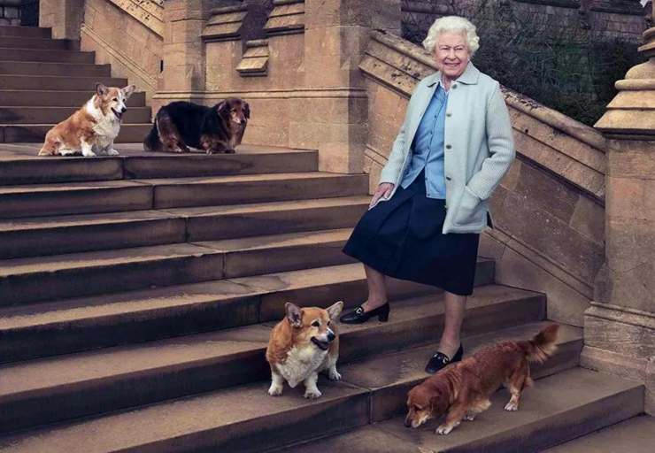 regina e cani