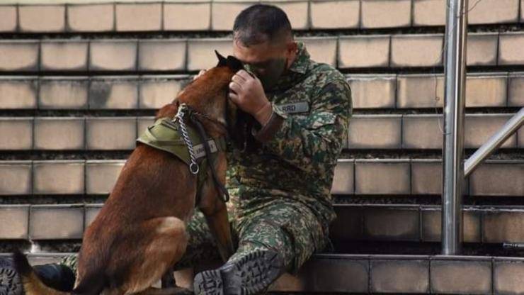 soldato saluta il suo cane