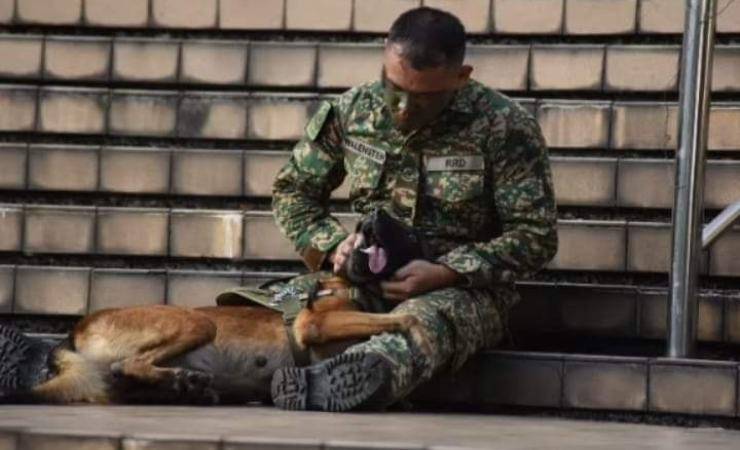 soldato e cane video