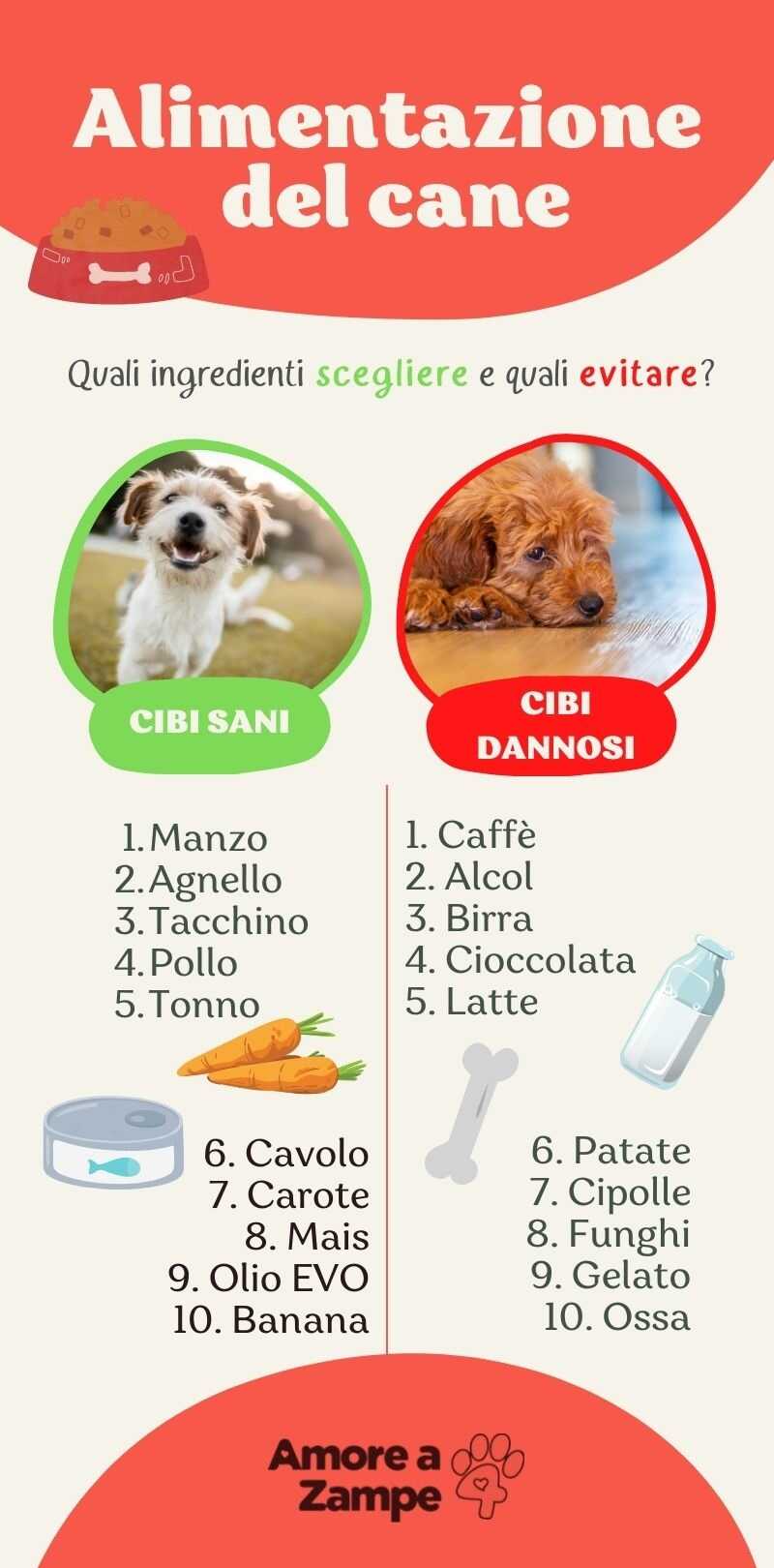 Classifica crocchette cani
