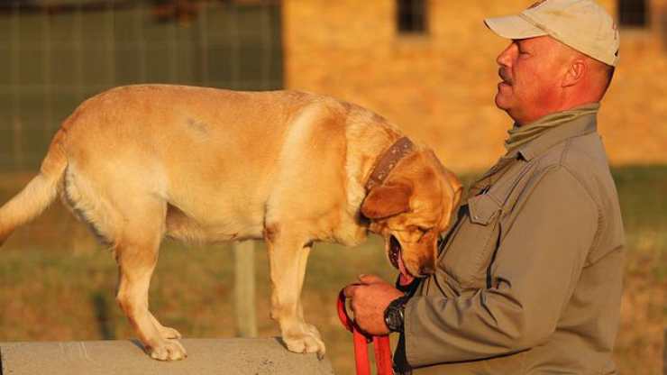 cane coccola uomo