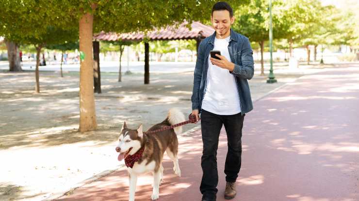perché non guardare il cellulare quando passeggiamo con il cane