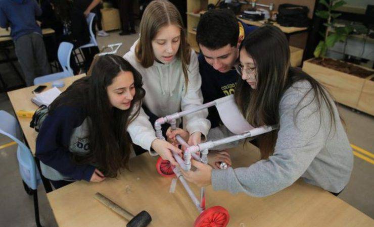 studenti sedia rotelle cani gatti