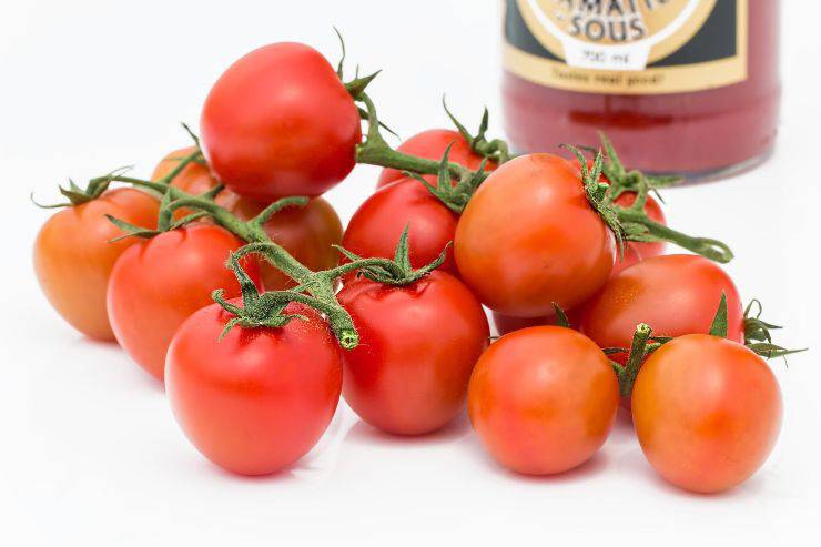 Salsa de tomate y tomates