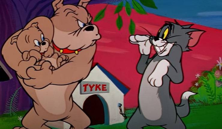 Cani Tom e Jerry