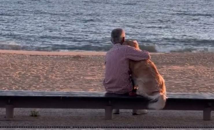 umano abbraccia cane video