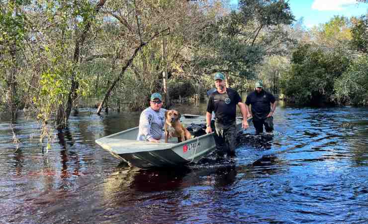 perro rescatado de inundación