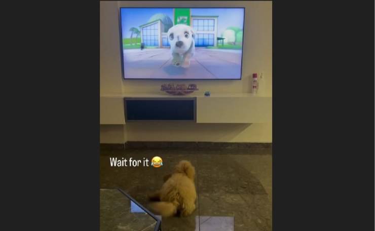 cane imita cane alla tv