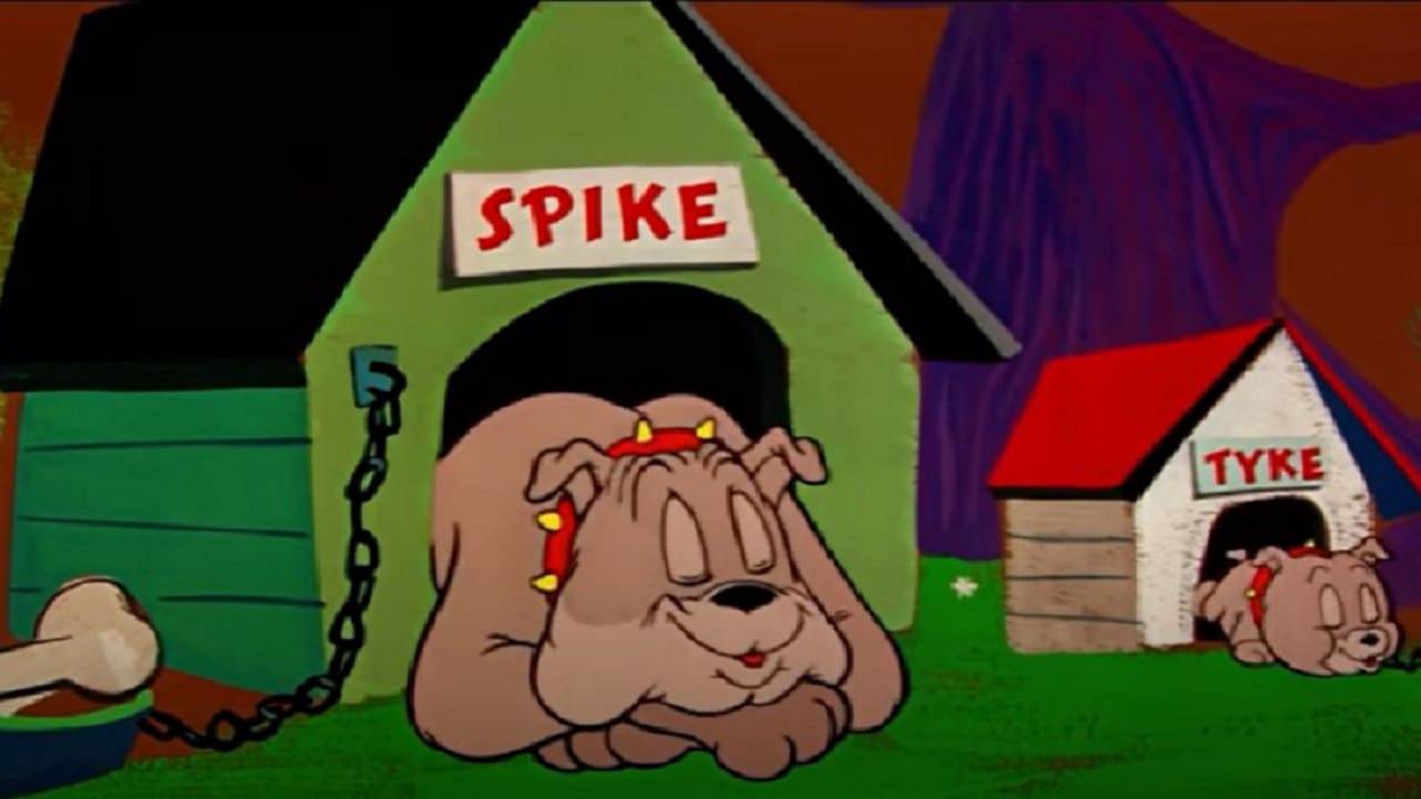 Cani Tom e Jerry nomi, razze, storie, caratteristiche e curiosità