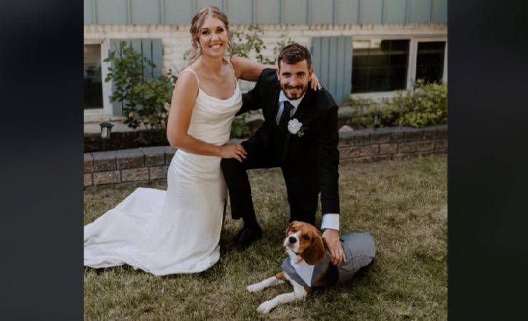beagle matrimonio