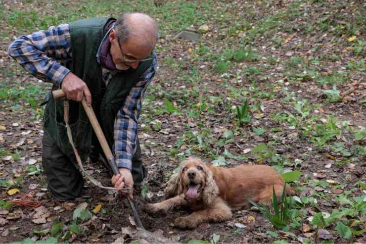 Leo cane cieco tartufi