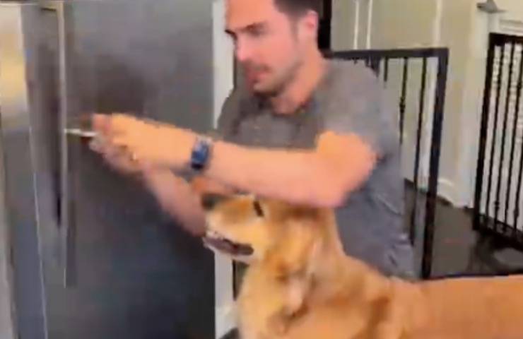 cane insegna aprire frigorifero