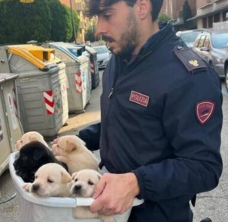 cagnolini salvati polizia cantina