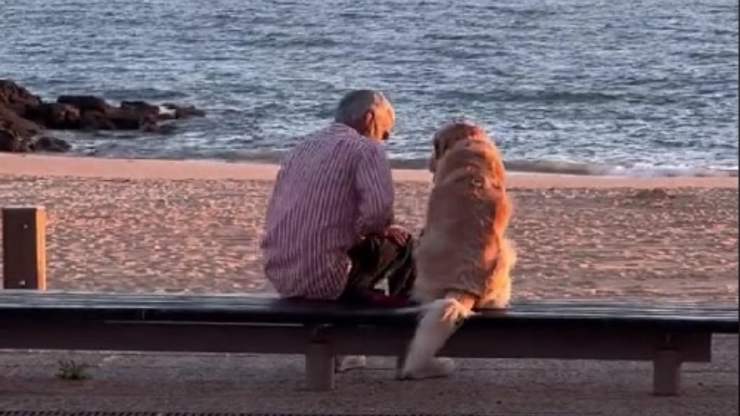 Uomo e cane al tramonto (TikTok - @itserikaeileen)