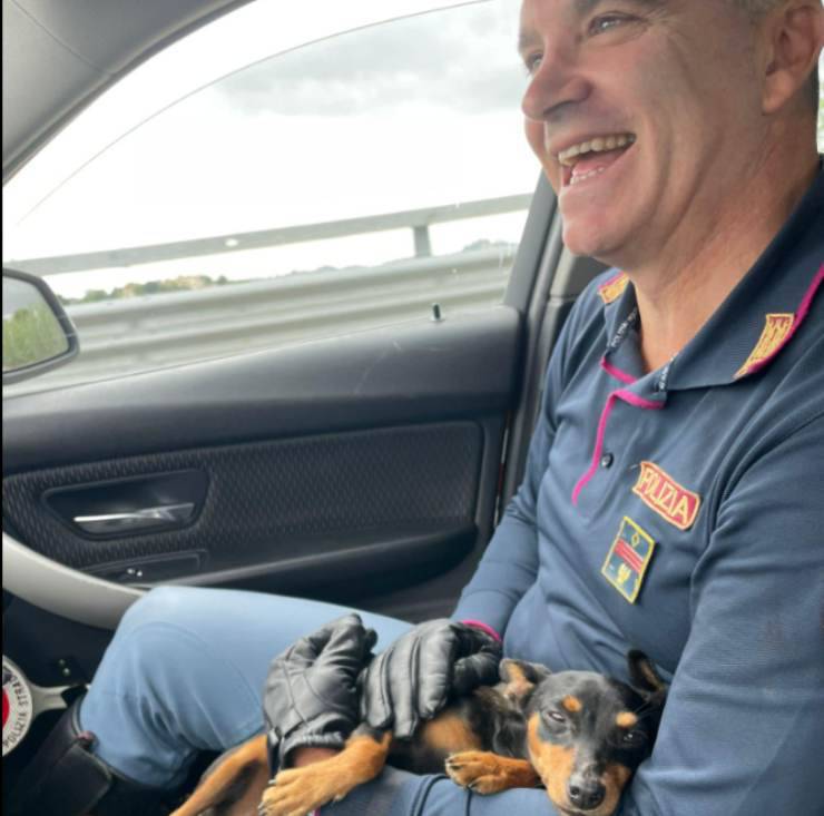 cane autostrada salvato poliziotto