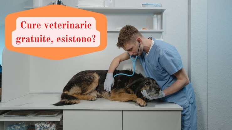 cure veterinarie gratuite