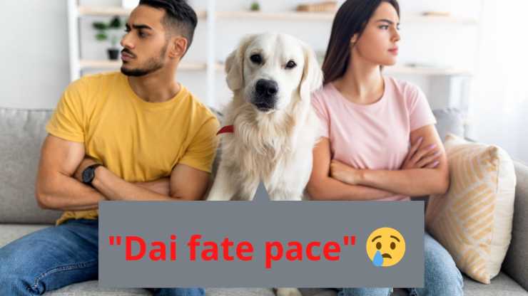 quando una storia finisce i cani soffrono