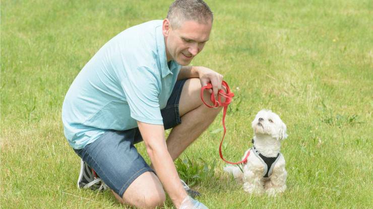 Padrone e cane