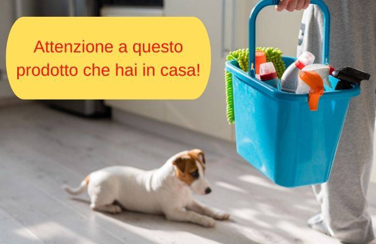 Prodotto pulizia dannoso per il cane 