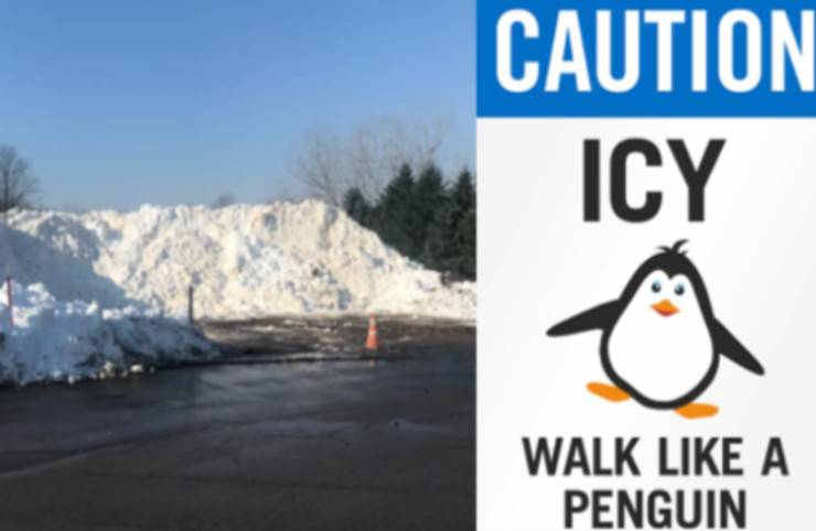 voragine ghiaccio cane precipitato