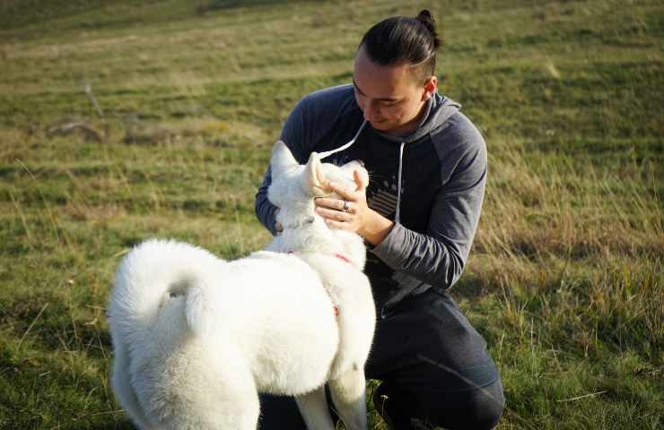 Cane mostra affetto all'uomo