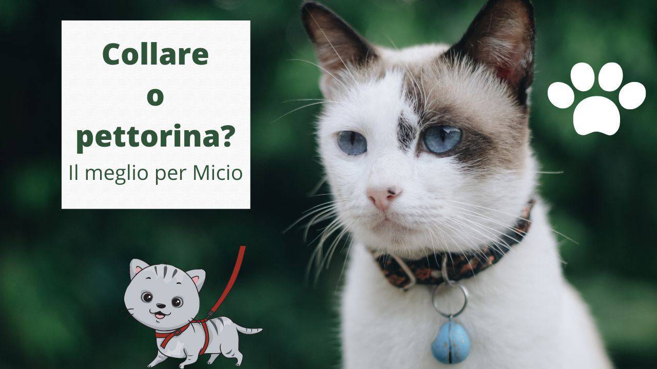 Pettorina Zaino Per Cani Con Tasche - Ducomi Imbracatura Porta Oggetti Per Trekking E Viaggi - Foto 7