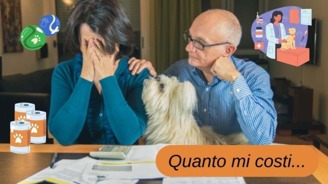 Caro Vita E Aumento Prezzi Quanto Costa Mantenere Un Cane Per Un Anno caro-vita-e-aumento-prezzi-quanto-costa-mantenere-un-cane-per-un-anno